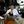 at=106&_nc_sid=7206a8&_nc_ohc=tQrtSO9tfjQAX_SutZa&_nc_ad=z-m&_nc_cid=0&_nc_zor=9&_nc_ht=scontent.