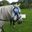 03194_o.?_nc_cat=111&ccb=2&_nc_sid=7206a8&_nc_ohc=_VHppoijAWIAX_wYPg0&_nc_ht=scontent.fykz2-1.
