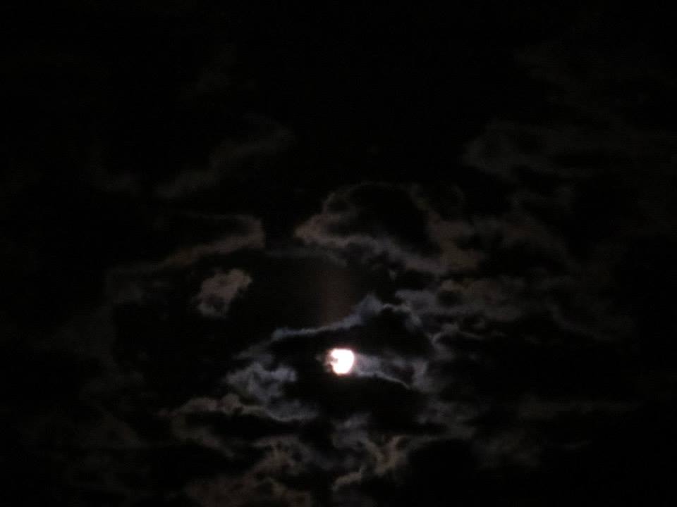 09JUNE2014B.JPG