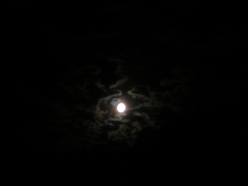 09JUNE2014C.JPG