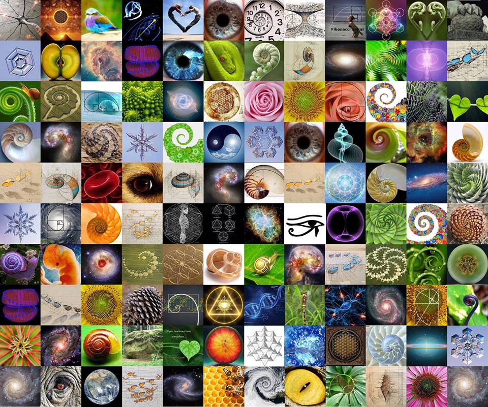 10385391_301482306709701_5848441628016983952_n.
