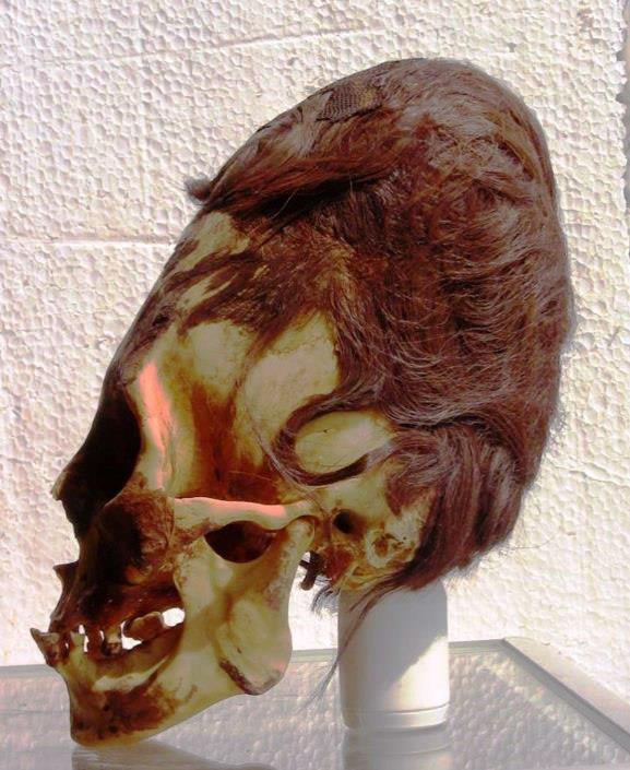 110214skull.