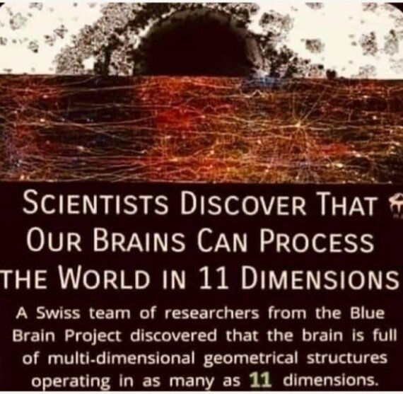 11dimensions.