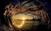 1641-92f6cf1b46762ace5e27064d880ce1c3.