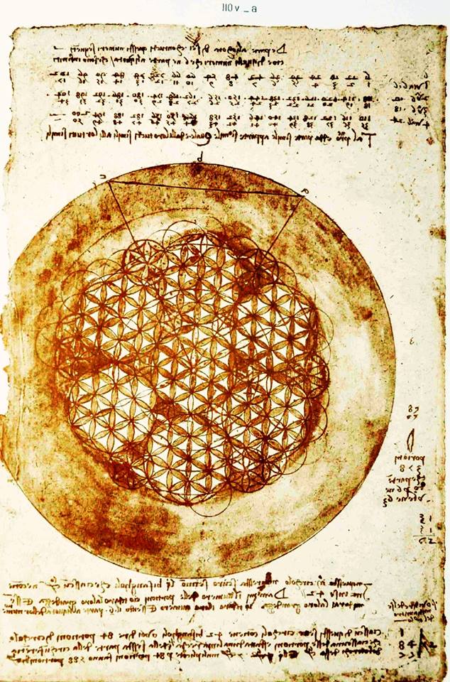 18301685_267158663693516_4209935452960220025_n.