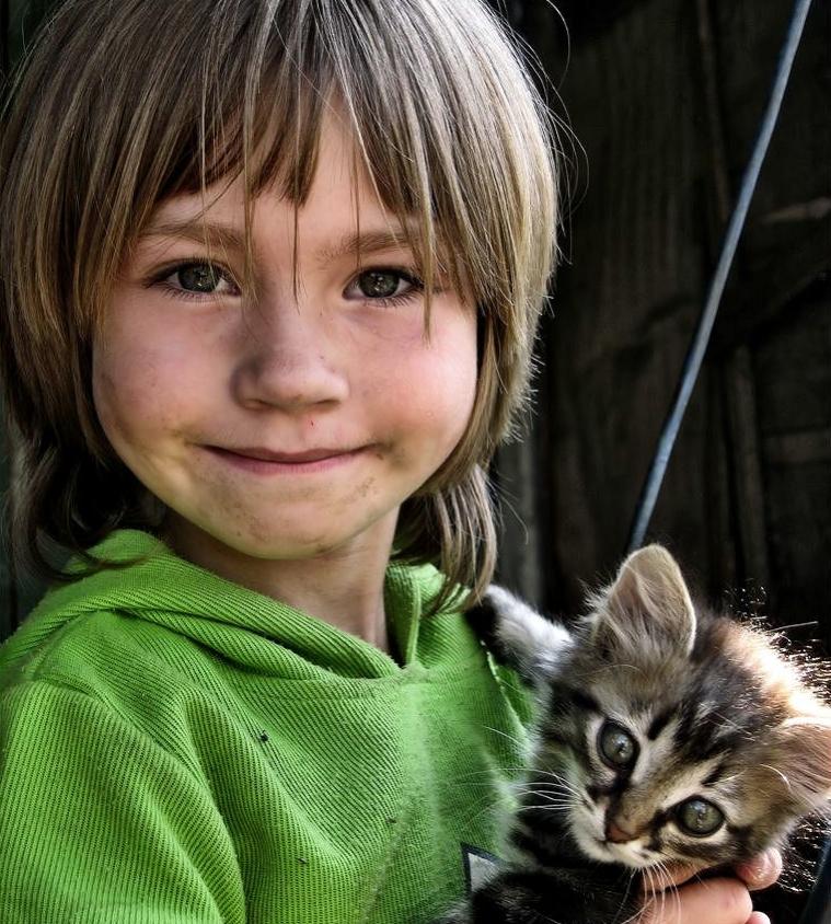 1_girl_holding_kitten.
