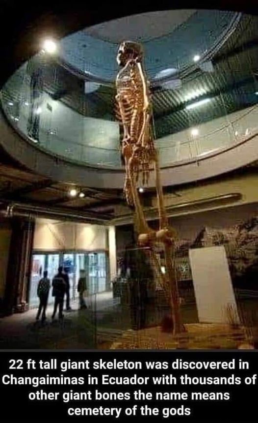 22foot.