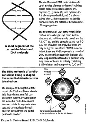 260031_1597679560645_6077226_n.