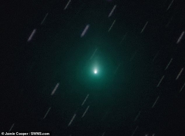 26630156-8171245-image-a-1_1585656499011.