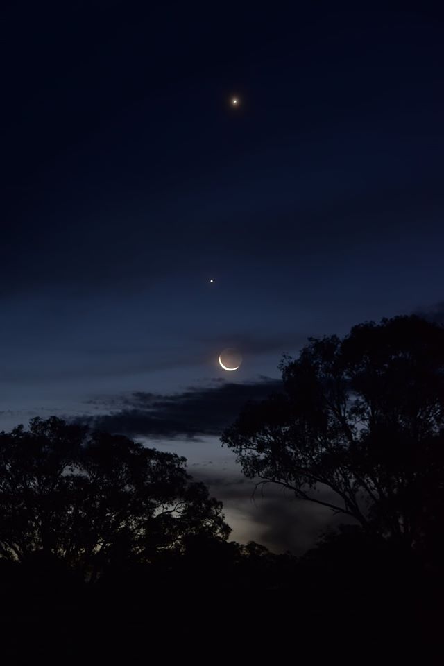 28NOV2019shanelearmoonjupvenus.