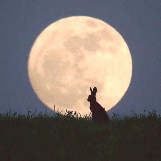29mar2021fullmoon2.