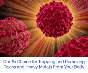 300x250_Blood-Cell.