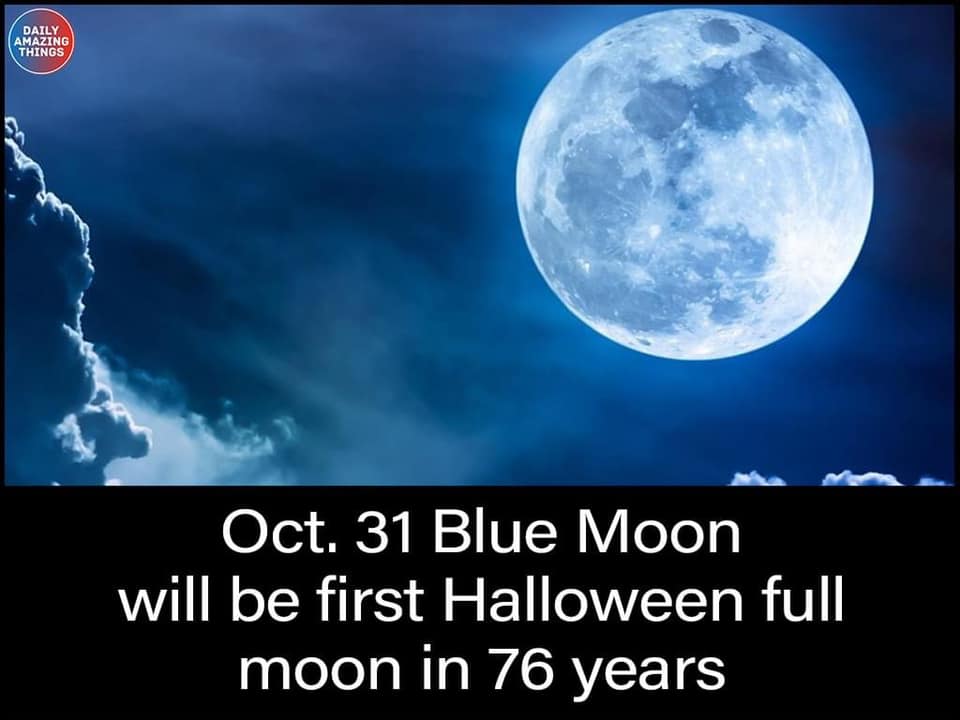 31oct2020.