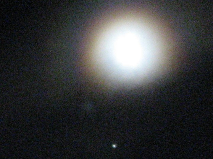 33690_447170482580_4695799_n.