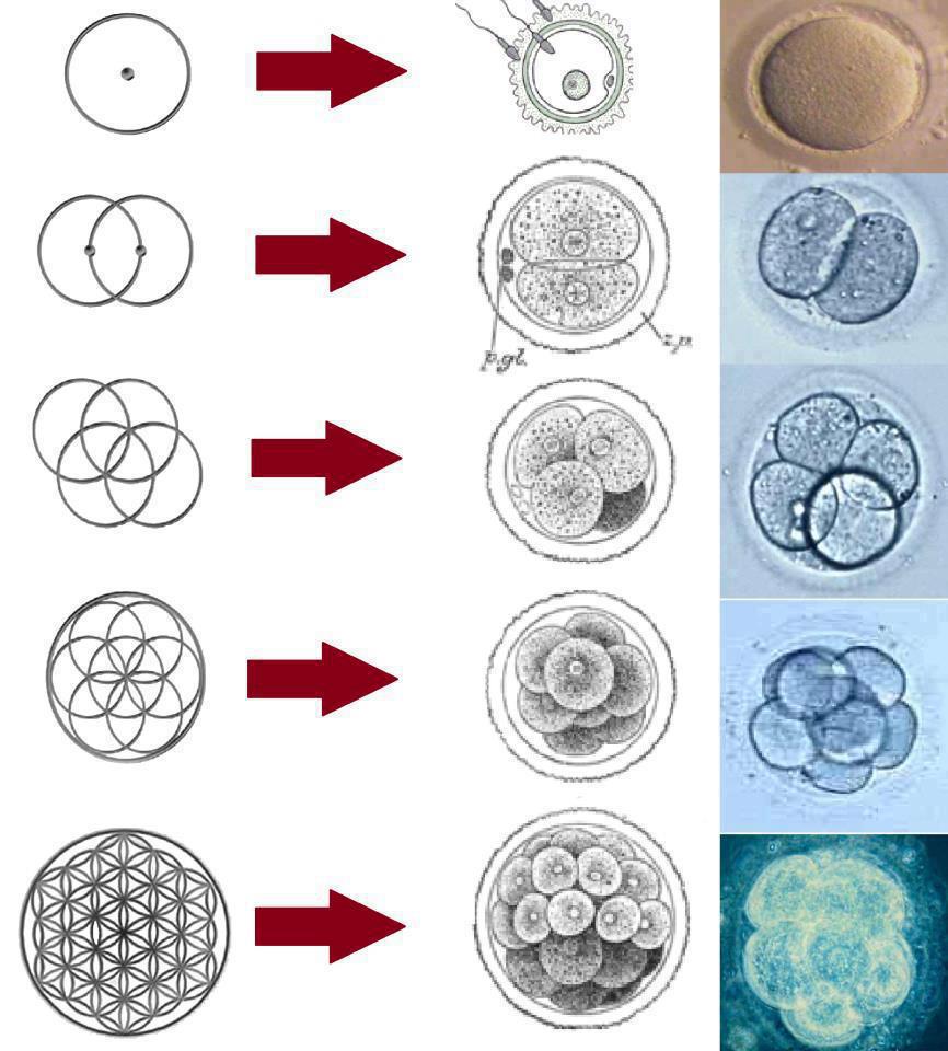 375789_277109112406140_587074534_n-1.