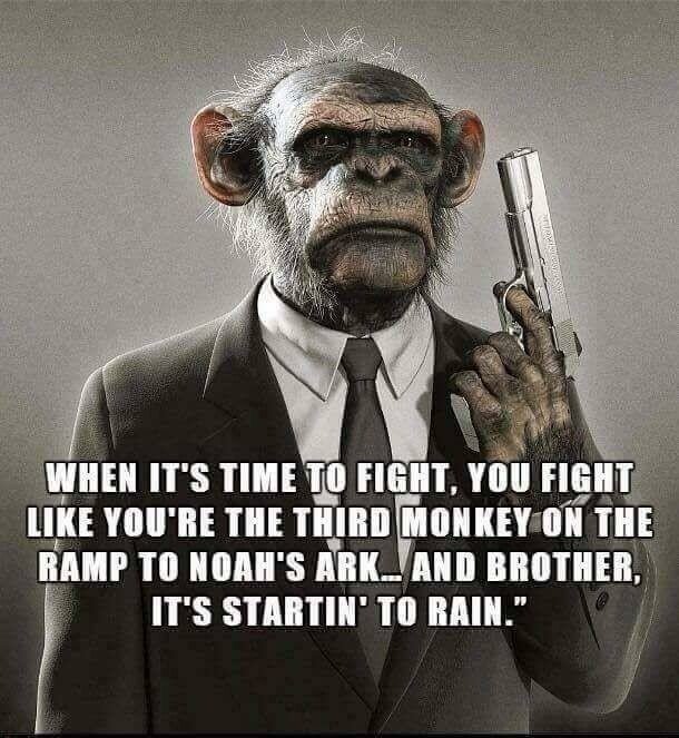 3rdmonkey.