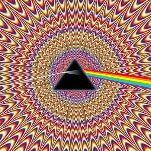 405110_366219920134365_2133461979_n.
