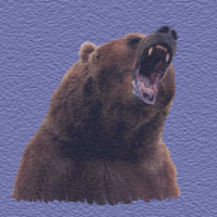 4dir-vbear.