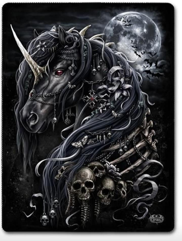 5&ccb=1-5&_nc_sid=8bfeb9&_nc_ohc=W1850NCXilUAX8sthwm&tn=ZdEPRgGV5Q7M7mMw&_nc_ht=scontent.fykz2-1.