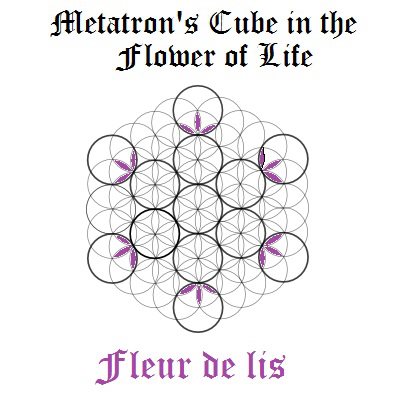 532143_302312986540184_1348424959_n.