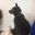 60160_n.?_nc_cat=100&ccb=2&_nc_sid=7206a8&_nc_ohc=g78taEppFSMAX-s84Tc&_nc_ht=scontent.fykz2-1.