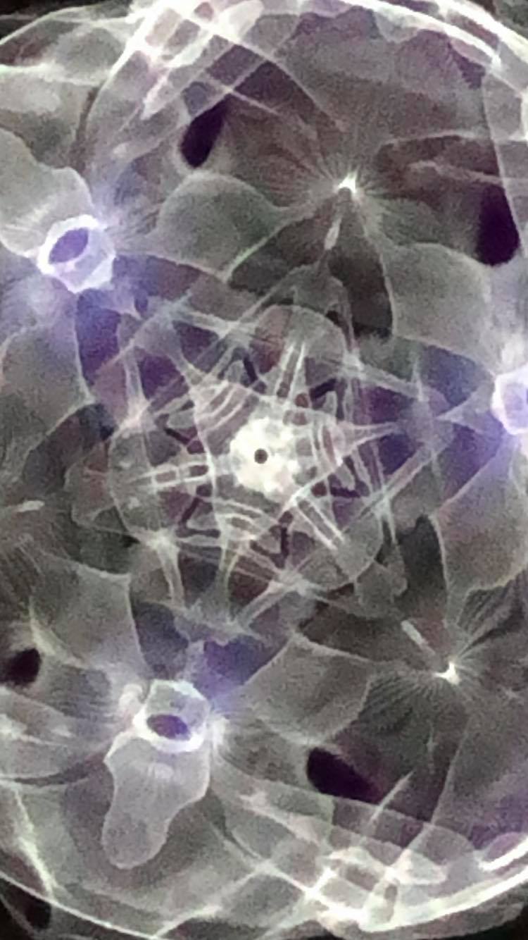 613_n.?_nc_cat=101&ccb=1-3&_nc_sid=8bfeb9&_nc_ohc=j6btBYVhAtgAX-TT0Yf&_nc_ht=scontent.fykz2-1.