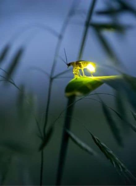 6225_n.?_nc_cat=101&ccb=1-7&_nc_sid=8bfeb9&_nc_ohc=T79ZK2vGYxUAX_GIMKI&_nc_ht=scontent-yyz1-1.