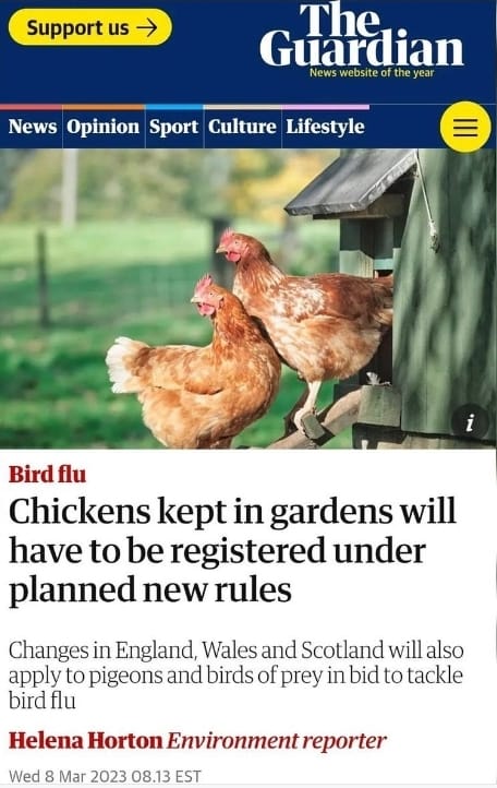 6753_n.?_nc_cat=106&ccb=1-7&_nc_sid=730e14&_nc_ohc=JzQaIyN0R8AAX_UjEZU&_nc_ht=scontent-yyz1-1.