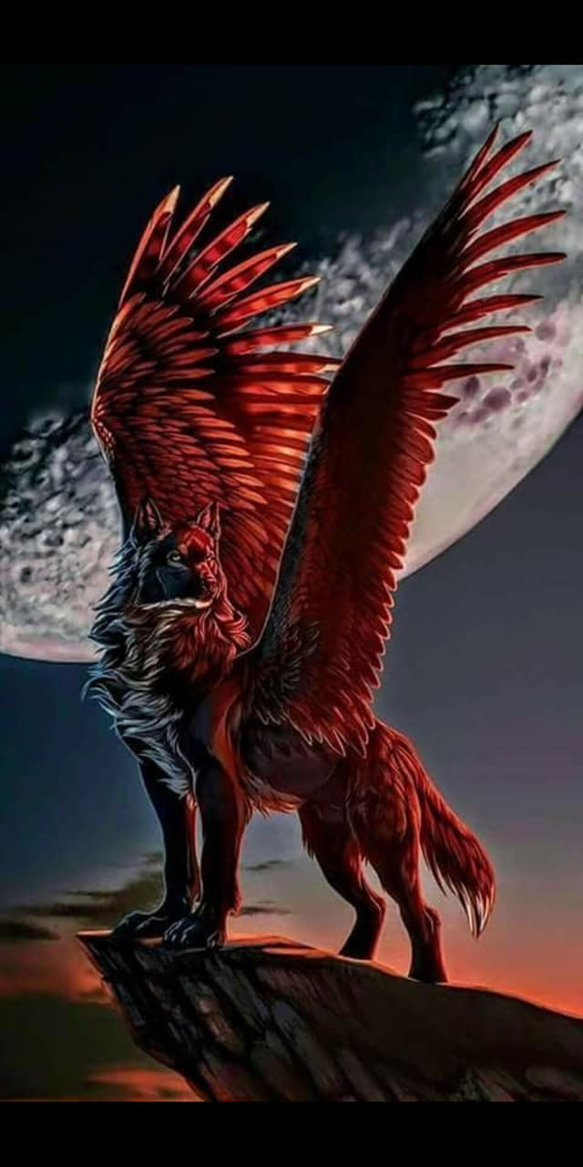 685_n.?_nc_cat=100&ccb=1-5&_nc_sid=8bfeb9&_nc_ohc=ARdy-yg8qAIAX___dxv&_nc_ht=scontent.fykz2-1.