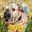 73216_n.?_nc_cat=108&ccb=2&_nc_sid=7206a8&_nc_ohc=gj67XmFbAicAX-ieMnp&_nc_ht=scontent.fykz2-1.