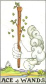 ace_of_wands.