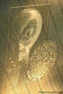 aerial1.