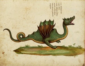 Aldrovandus-Winged-Dragon-of-Ethiopia3-300x232.
