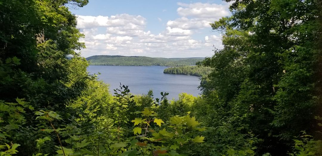 algonquinpark.