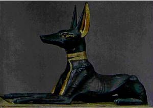 anubis.