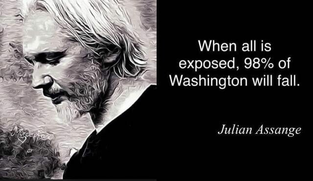 assange.