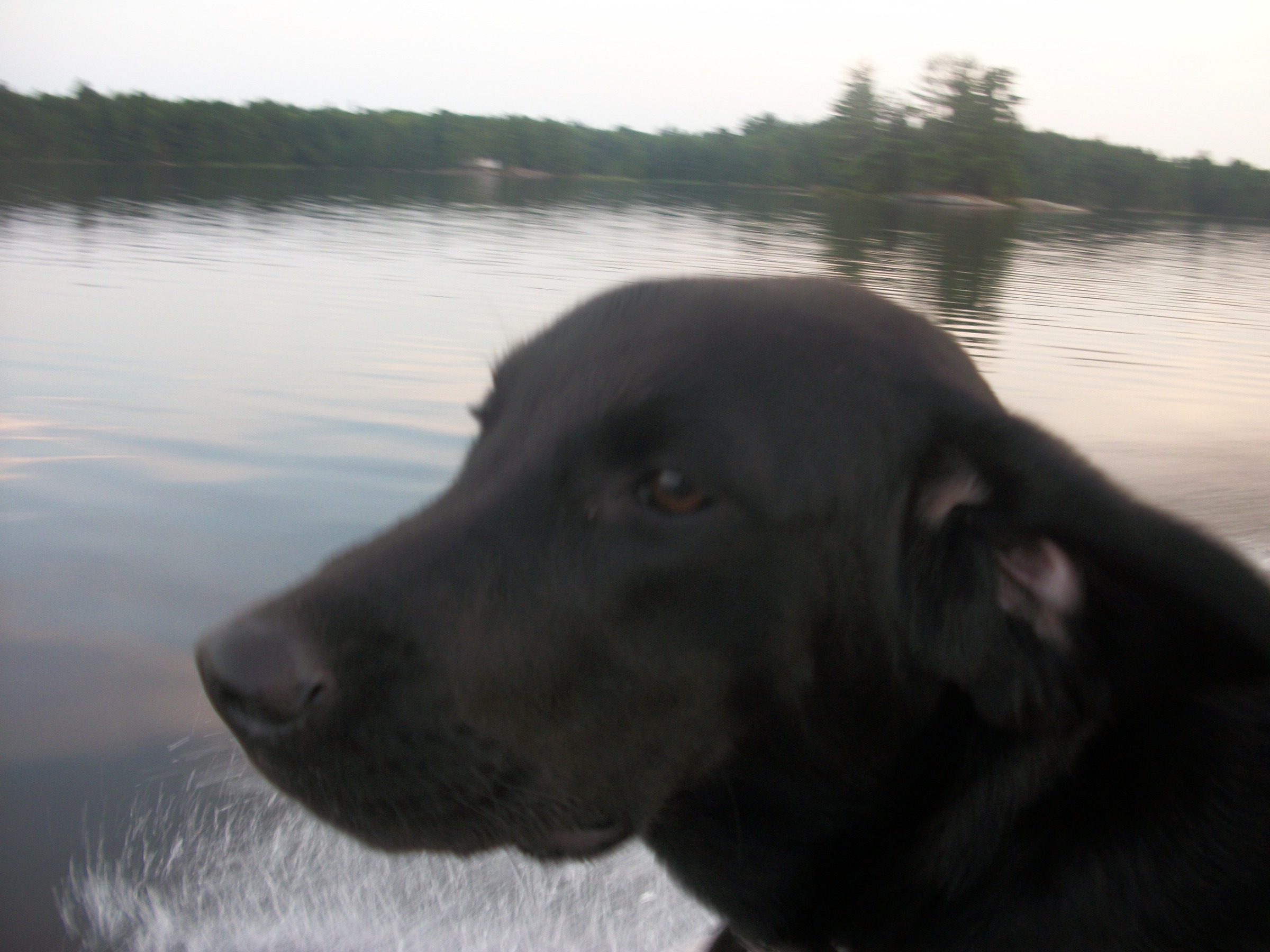 aug2012_033.