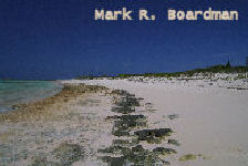 beachrock2.