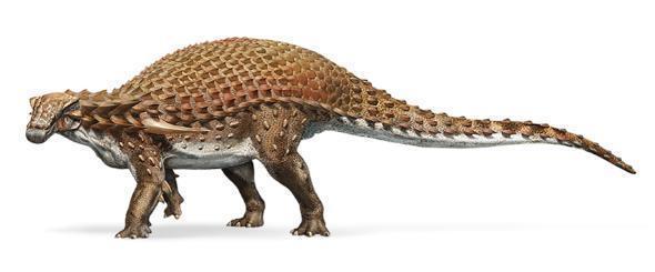 best-preserved-dinosaur-fossil-ever-found-by-miners-in-canada-314244-2.