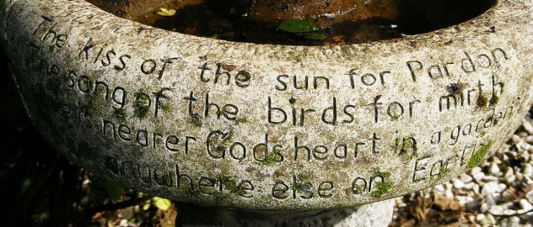 birdbath2.