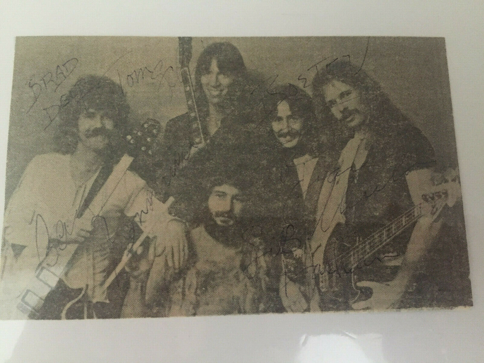 braddelp.