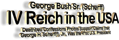 bush19.