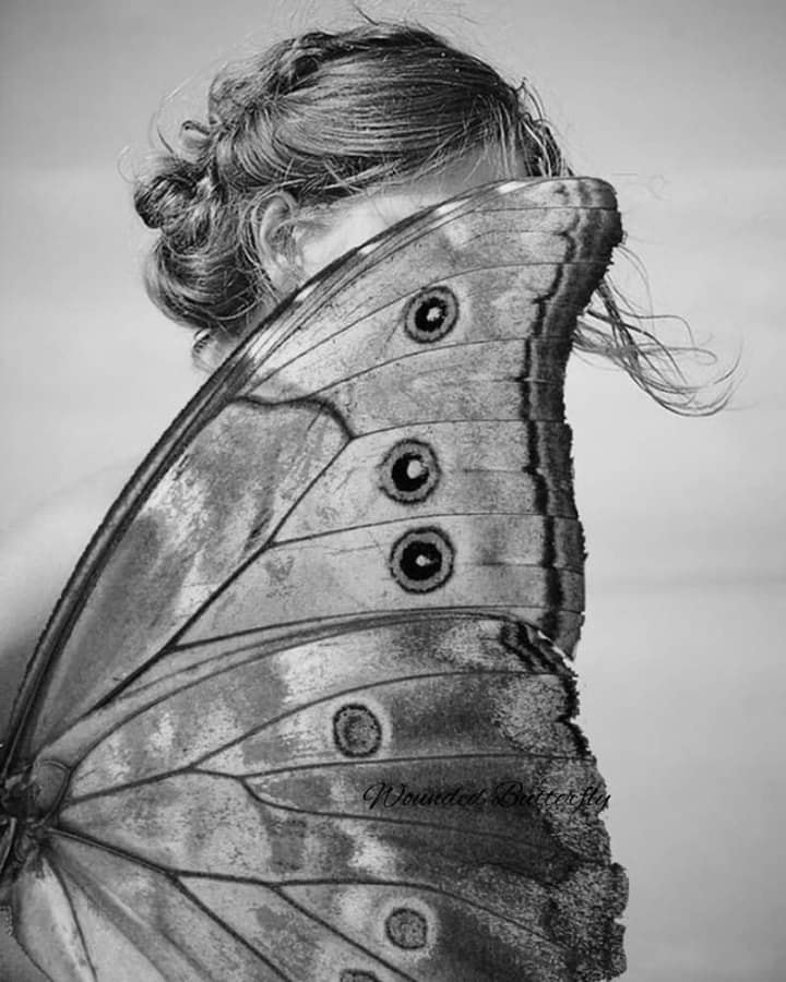 butterflygrounded.