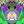 cat=104&_nc_ohc=EEx6D5X71TgAQlrvtNDpqkm3hMJbHfse2BnOl82VwaAp8ldAbxcTyNyPA&_nc_ht=scontent-syd2-1.