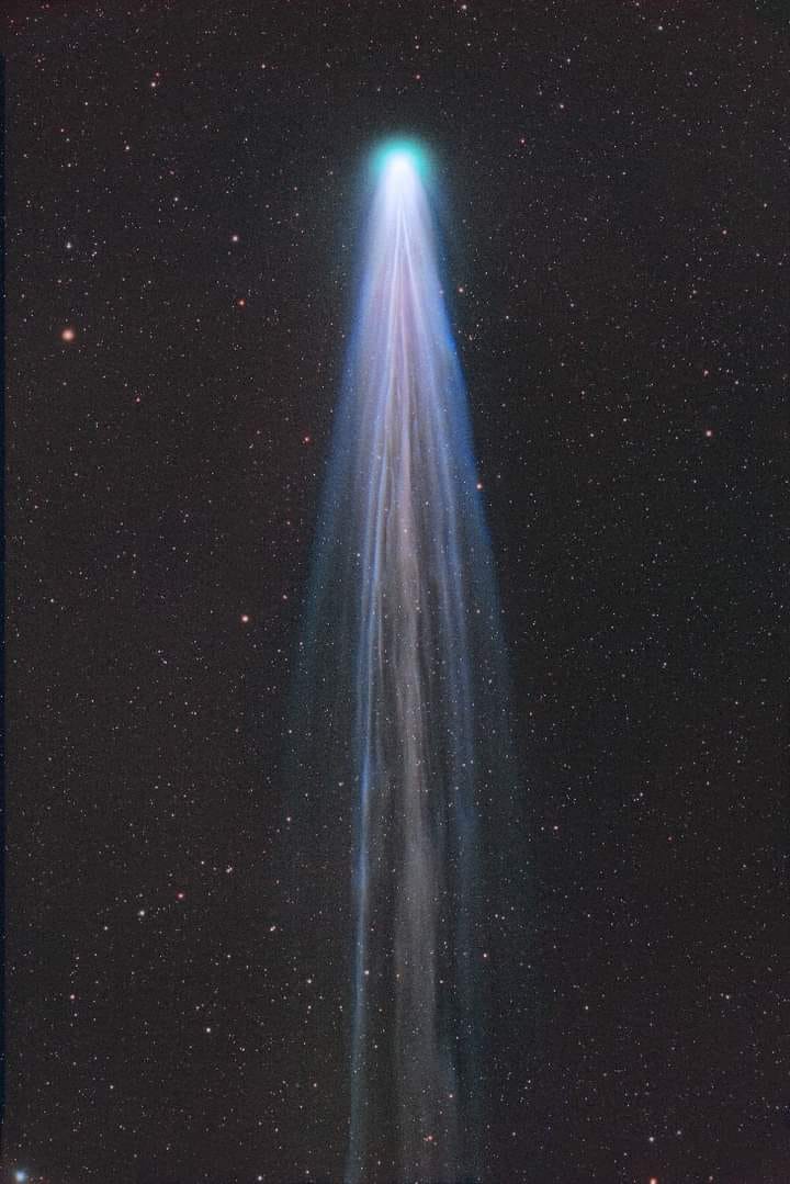 cometL24dec2021mj.