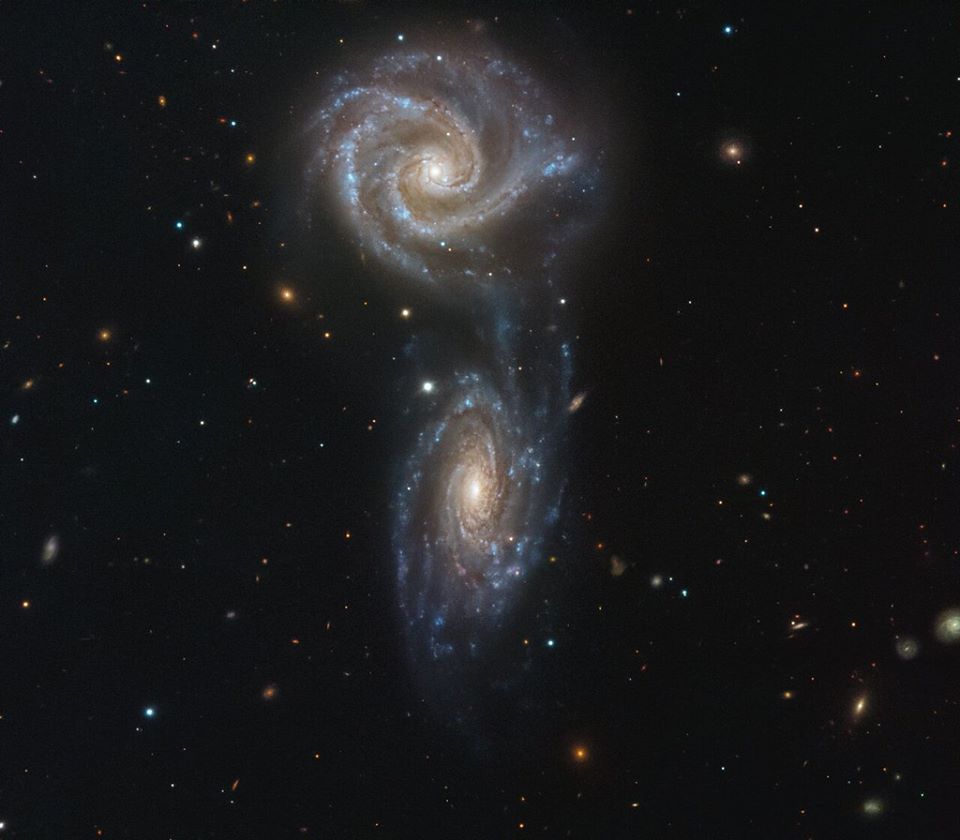 cosmosnew.