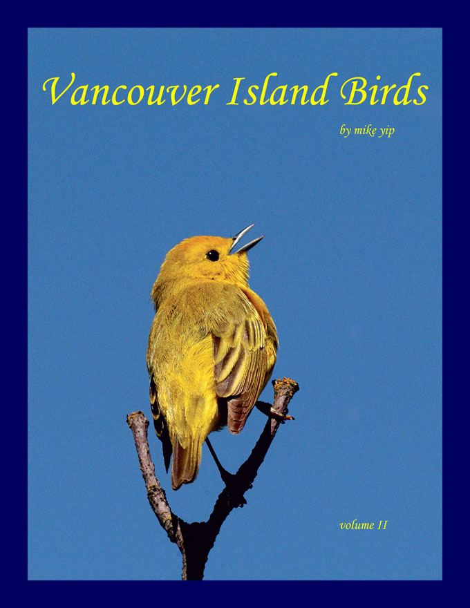 cover2b104.