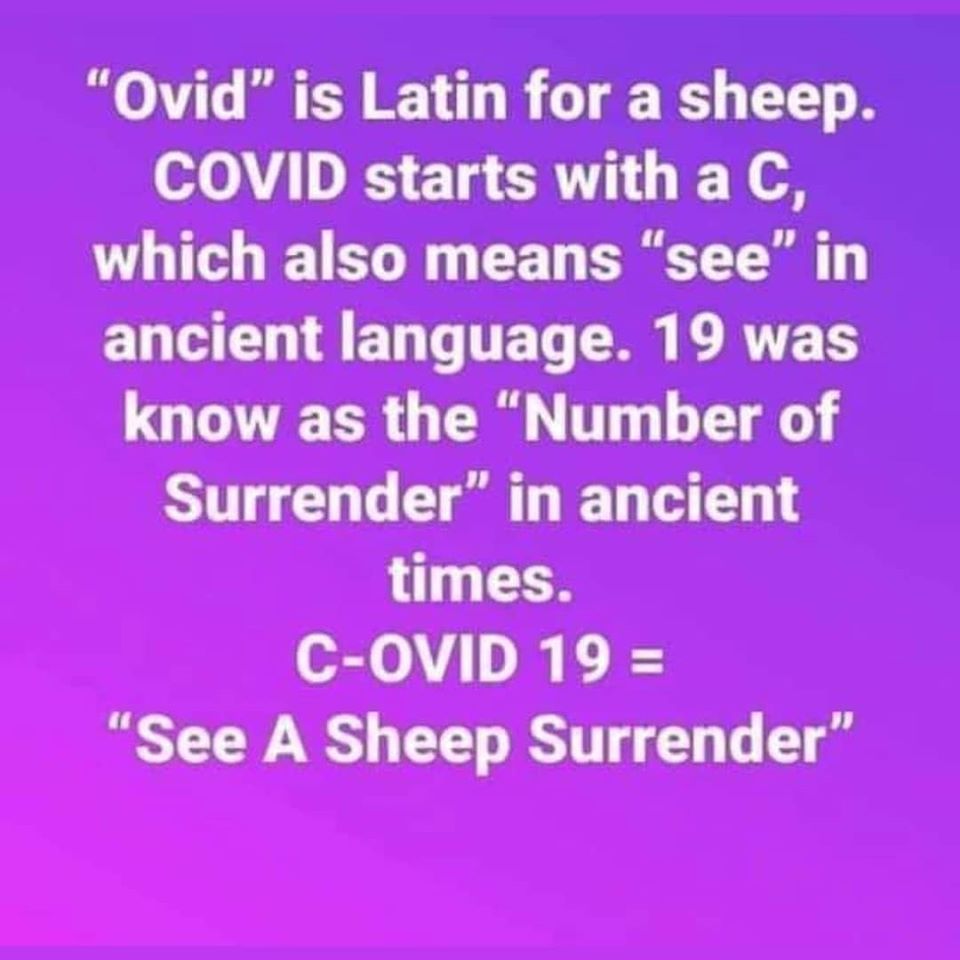 covid19.
