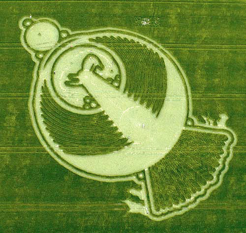 crop-circle-bird-6-12-09.