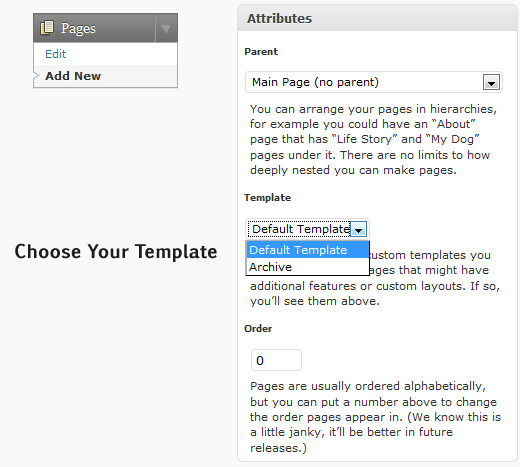 custompagetemplate.